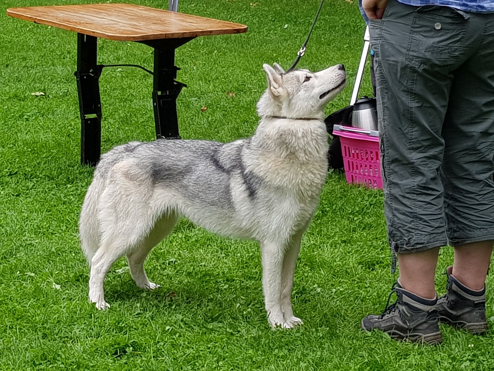 ZZL Wetzlar 07.08.2021